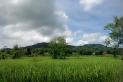 Farm lot for sale, 19 Hec. Balaoan, Camiling