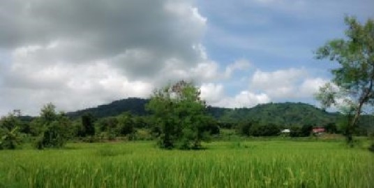 Farm lot for sale, 15 Hec. Balaoan, Camiling, La Union, Ilocos