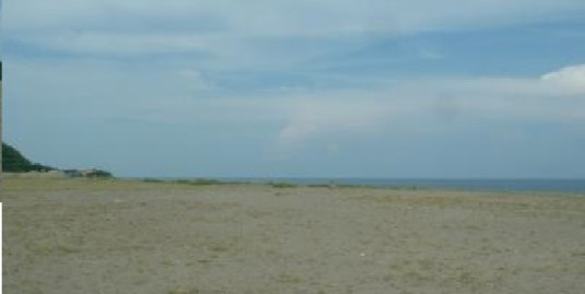 Beach lot for sale, 5.1 Hec. San Juan Ili Norte, La Union, Ilocos