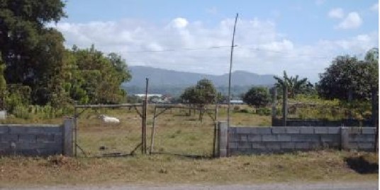 Residential lot for sale 3,002 sqm, Bacnotan, Bulala