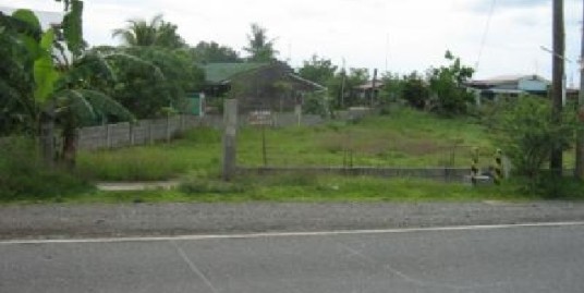 Residential lot for sale 1,901 sqm, San Juan, Ili Norte