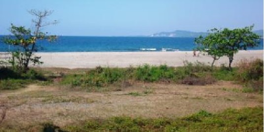 Commercial lot for sale, 1,500 Sqm, San Juan, La Union