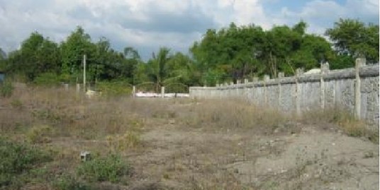 Beach lot for sale, 1,201 sqm, San Juan, Taboc La Union, Ilocos