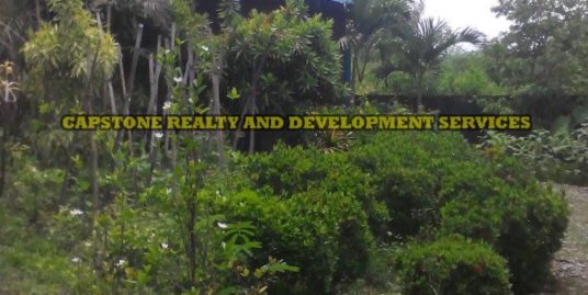 RUSH SALE: Titled Beach front House for Sale, Bacnotan, La Union, Ilocos