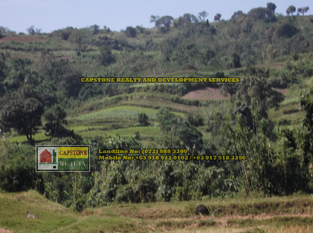 52 Hectares titled property for sale, Bauang, La Union, Ilocos