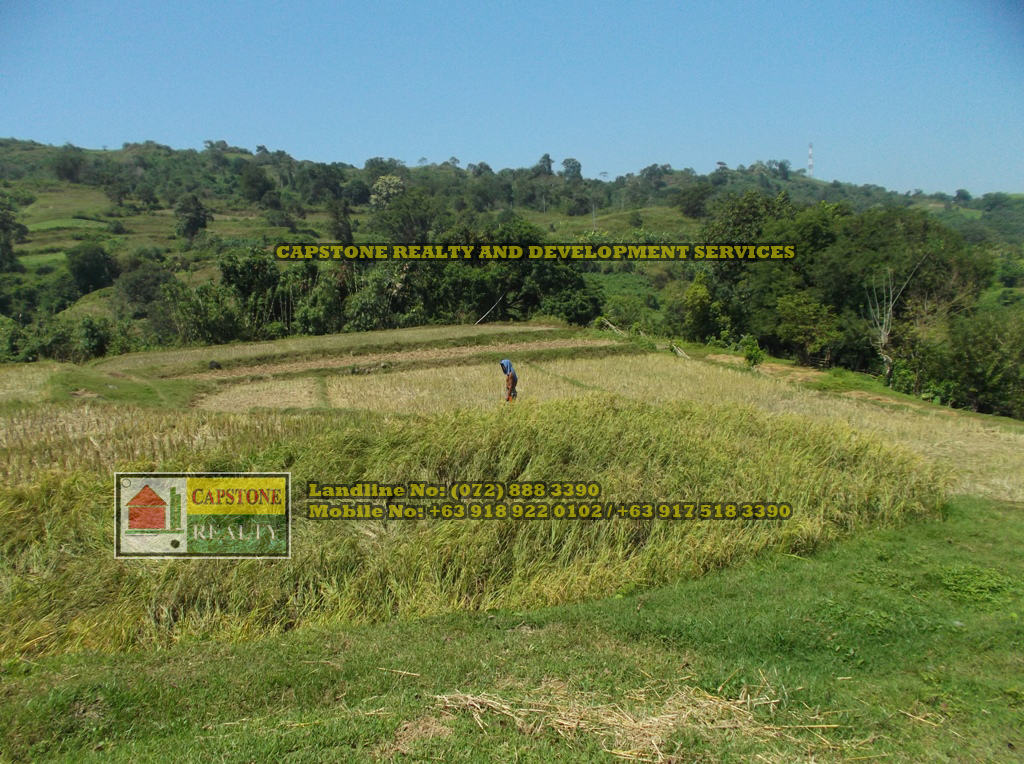 52 Hectares titled property for sale, Bauang, La Union, Ilocos