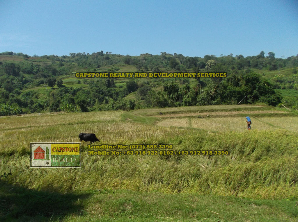 52 Hectares titled property for sale, Bauang, La Union, Ilocos
