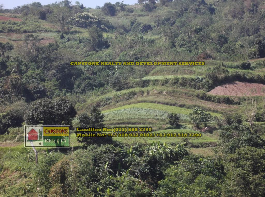 52 Hectares titled property for sale, Bauang, La Union, Ilocos