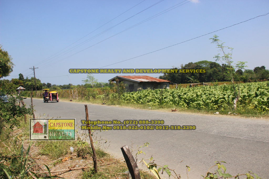 1,224 Sqm. Farm Lot for Sale, Balaoan, La Union, Ilocos