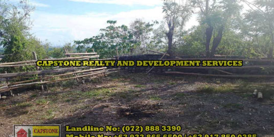 Titled Residential Lot for Sale with Scenic View