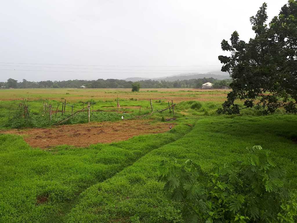 Titled Farm Lot For Sale, Bangar, La Union