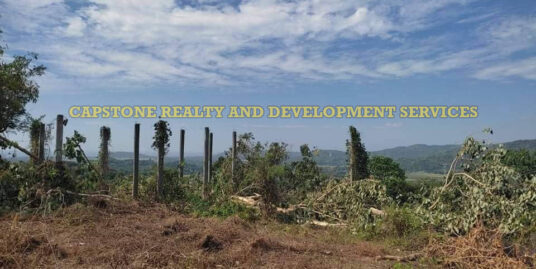 Titled Lot on top of the hill for sale Bacnotan, La Union