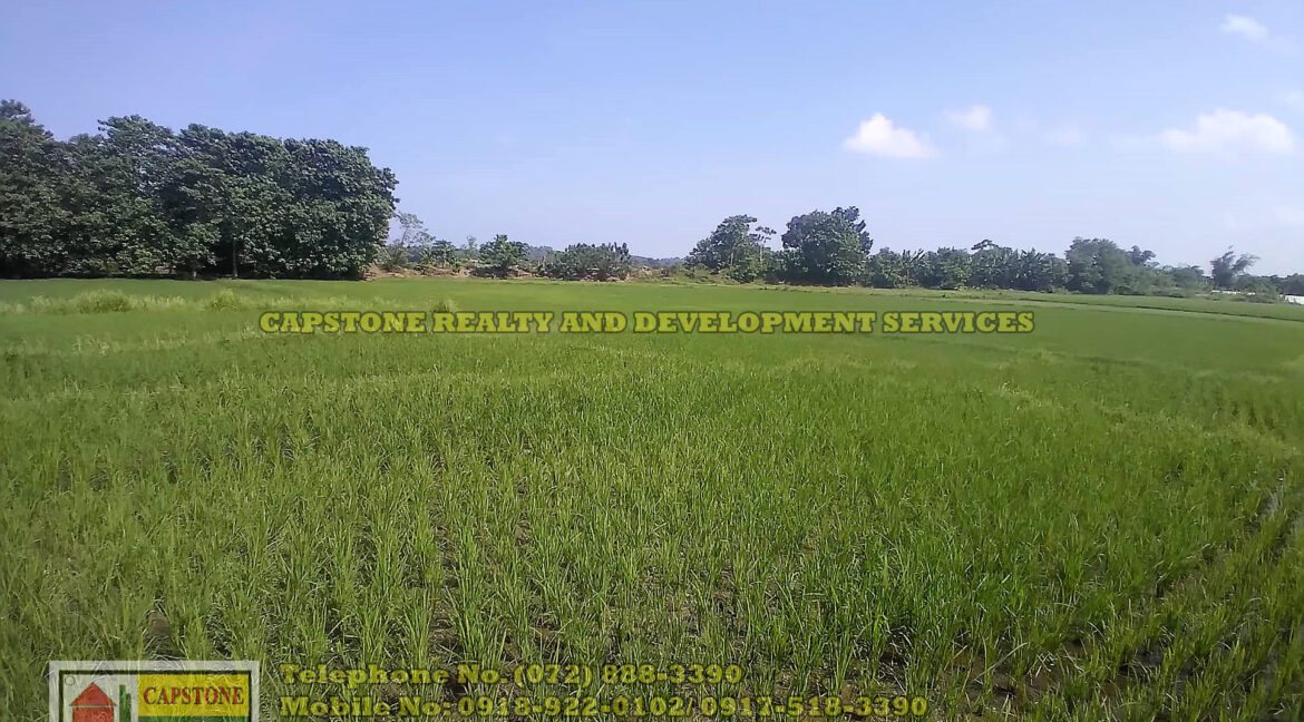 22,923 SQM Wide Agricultural Lot for sale, Cabalitocan Luna