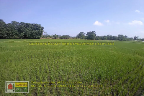 22,923 SQM Wide Agricultural Lot for sale, Cabalitocan Luna