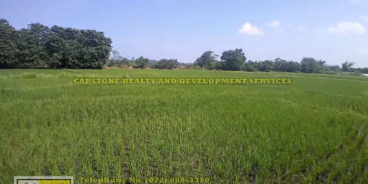 22,923 sqm wide Agricultural Lot for sale, Cabalitocan Luna