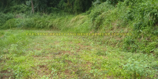 Titled Agricultural Lot For Sale in San Fernando, La Union