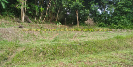 Agricultural Lot For Sale San Fernando, La Union