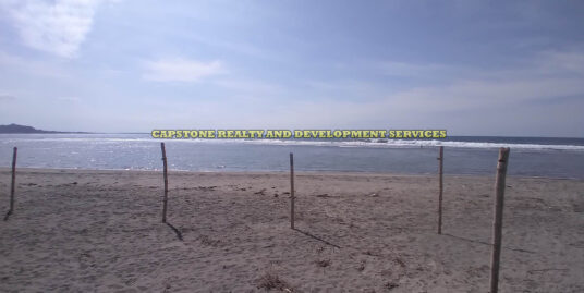 Titled beach lot for sale in san juan la union