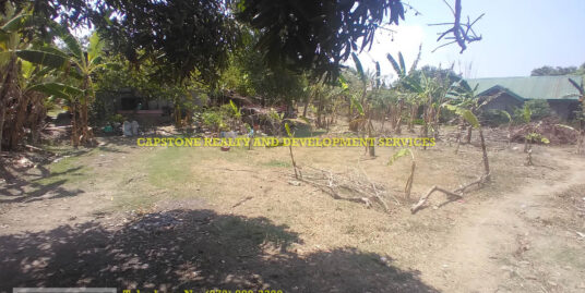 Titled Residential Lot for Sale in Bacnotan La Union