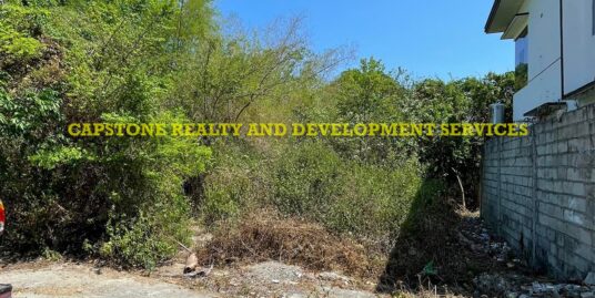 100sqm Titled Residential Lot for Sale in San Fernando La Union