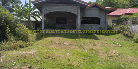Unfinished House and Lot for Sale in San Juan La Union