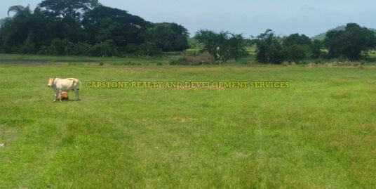 Prime Agricultural Lot Along Cemented Barangay Road in Bacnotan, La Union