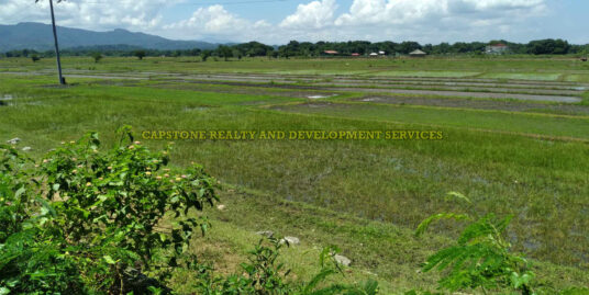 FARM LOT IN BACNOTAN LA UNION