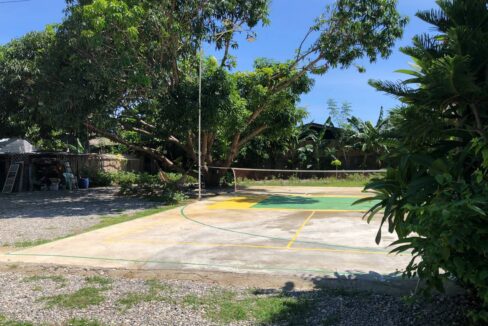 FRONT YARD2