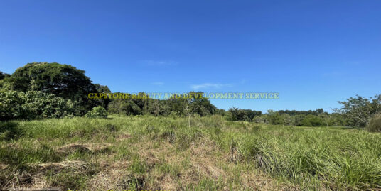 Near the Beach lot for Sale in Ili Norte San Juan La Union