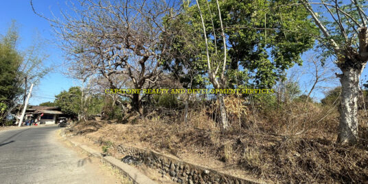 Scenic Residential Lot for Sale in Bangcusay, San Fernando, La Union