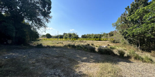 Farm Lot in Nalvo Sur, Luna La Union