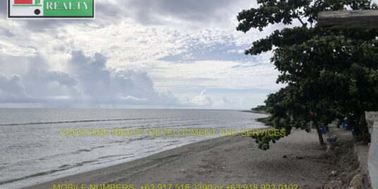 PRIME BEACHFRONT LOT FOR SALE IN CARLATAN SAN FERNANDO CITY LA UNION