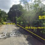 3 Hectares Farm Lot For Sale in San Juan, La Union