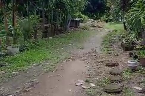 3 Hectares Farm Lot For Sale in San Juan, La Union-2