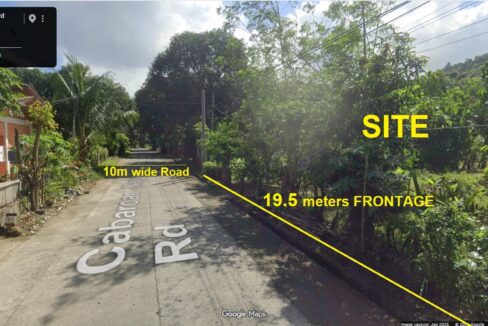 3 Hectares Farm Lot For Sale in San Juan, La Union
