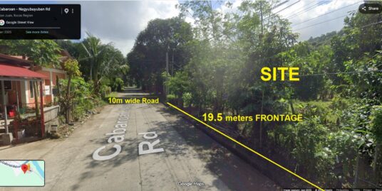 3 Hectares Farm Lot For Sale in San Juan, La Union