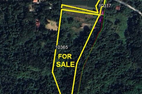 3 Hectares Farm Lot For Sale in San Juan, La Union-6