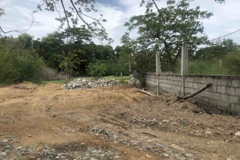 Cabarsican 1
