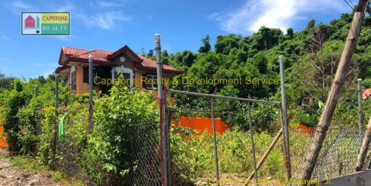 Residential Lot just 290 Meters to the Highway, 1.8 KM to SM Elyu! Prime 732 SQM Lot in San Fernando La Union