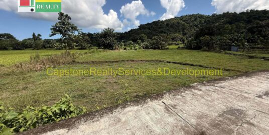 For Sale: 2,277 sqm Lot in Luna, La Union, Only ₱879 per SQM — Negotiable!