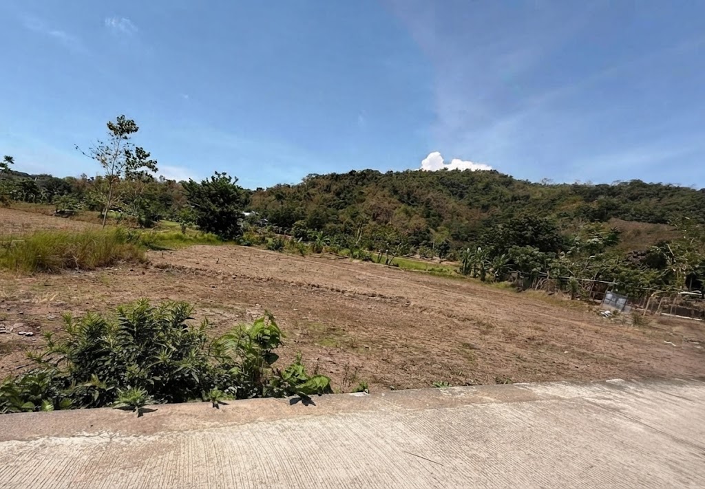 For Sale: 2,277 sqm Lot in Luna, La Union, Only ₱879 per SQM — Negotiable!