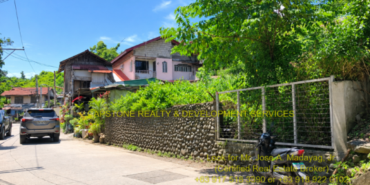 Prime Commercial / Residential Lot For Sale in Tanqui, San Fernando City, La Union