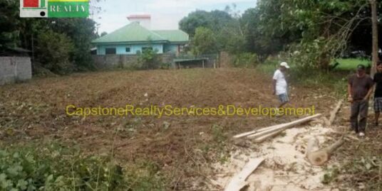 1,203 SQM Lot for Sale in Kisikis, Alcala, Pangasinan